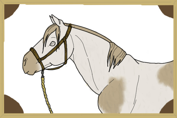 Paint horse