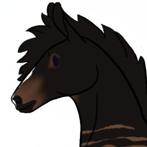 Viv Headshot