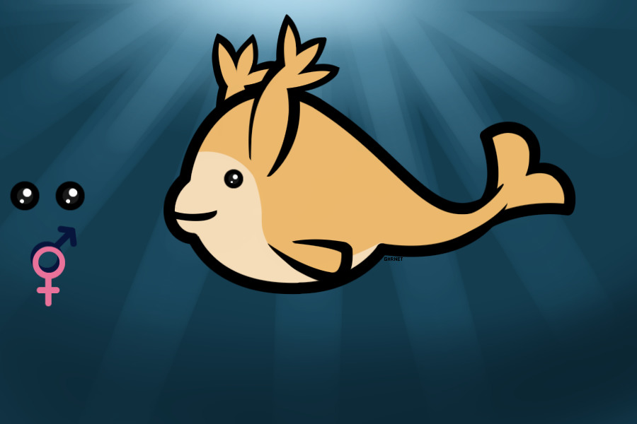 Narball #12 - Raposa - Not up for adoption!