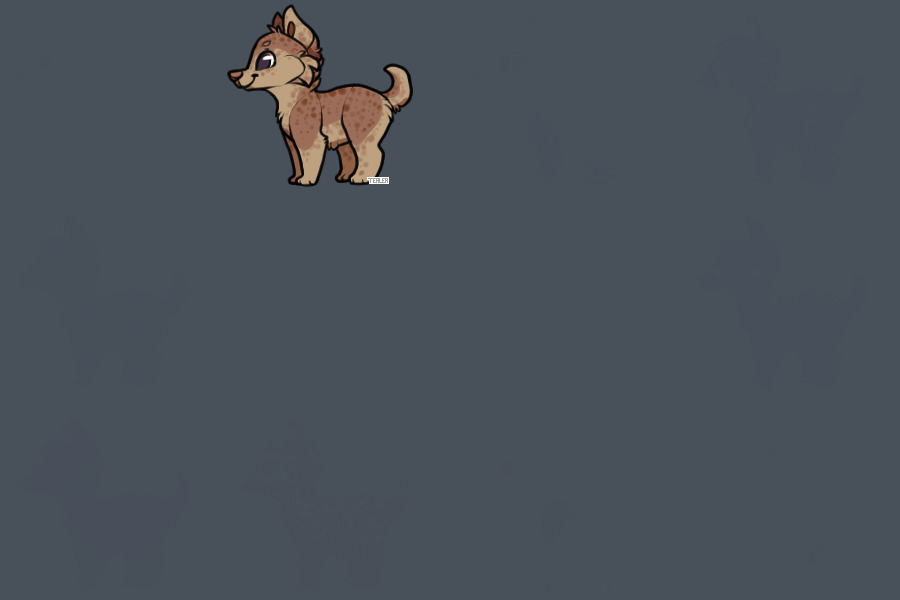 Frenchie.