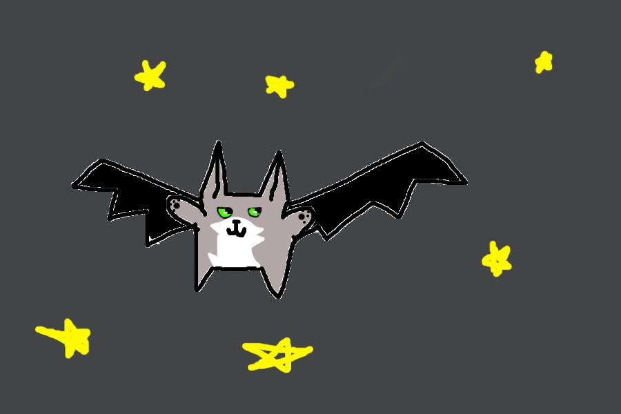 one of my halloween treats adopt some cat bats!