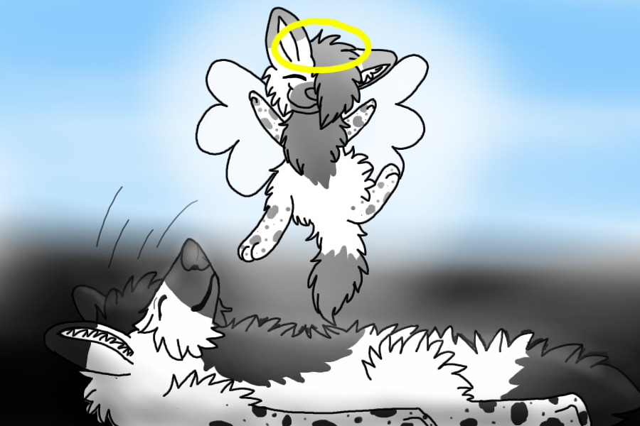 What Happened When I Got the Banner Pup