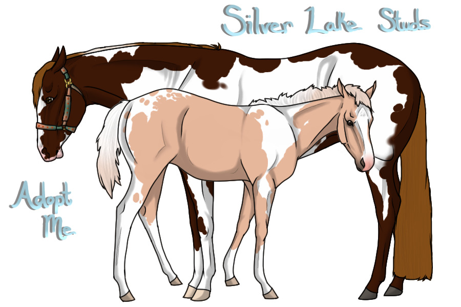 Silver Lake Studs