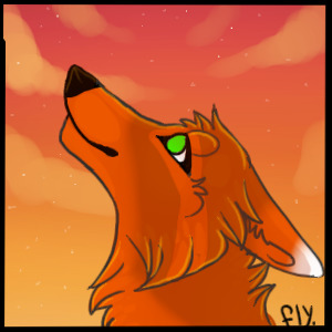 You're gonna ruin your eyes