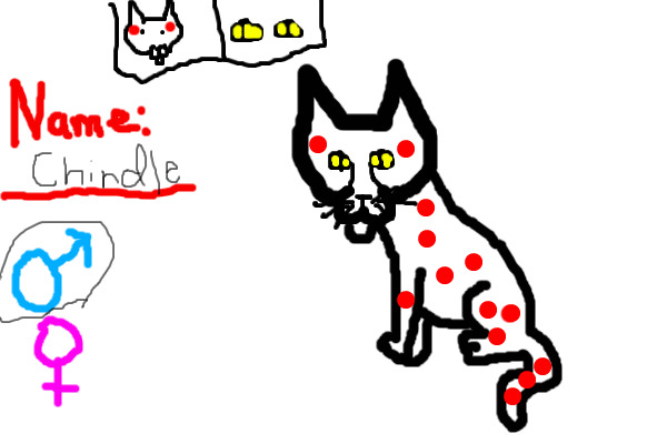 Random Dotty Cat Ref.