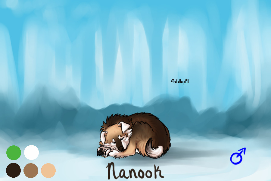 Nanook