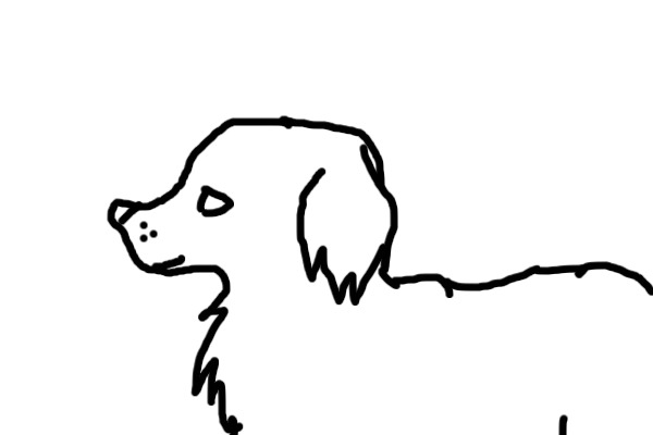 Puppy!