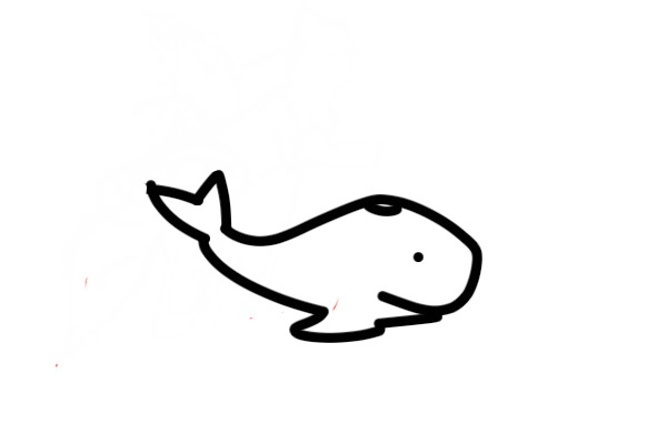 Whale! :3