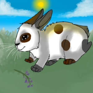 Bunny! :3