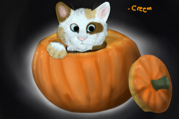 Halloween Kitteh