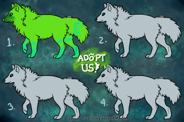 Wolf Adopts!