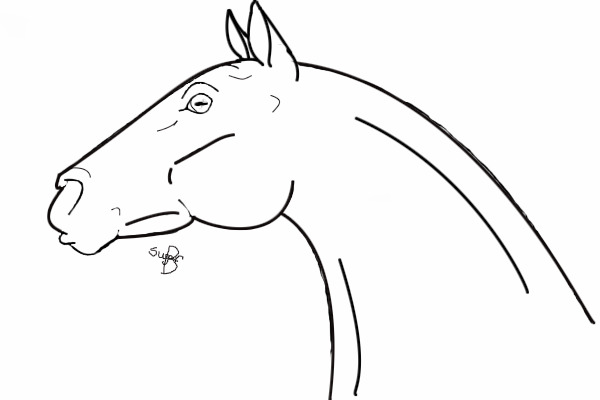 Competition!!! Design a horse!CLOSED!!!!