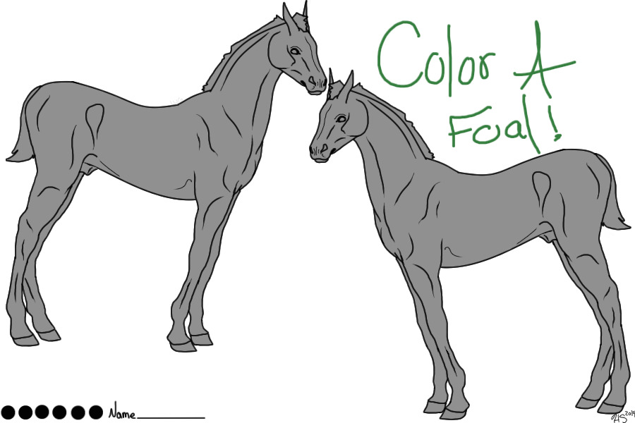 Color A Foal!