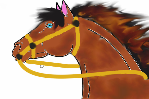 rinning horse