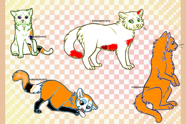Warrior Cats