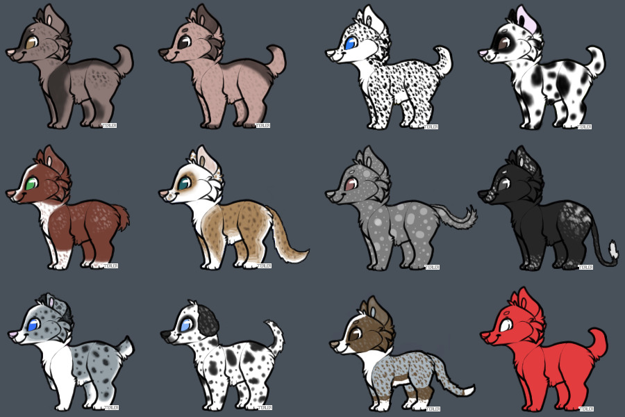 Spotted Adopts