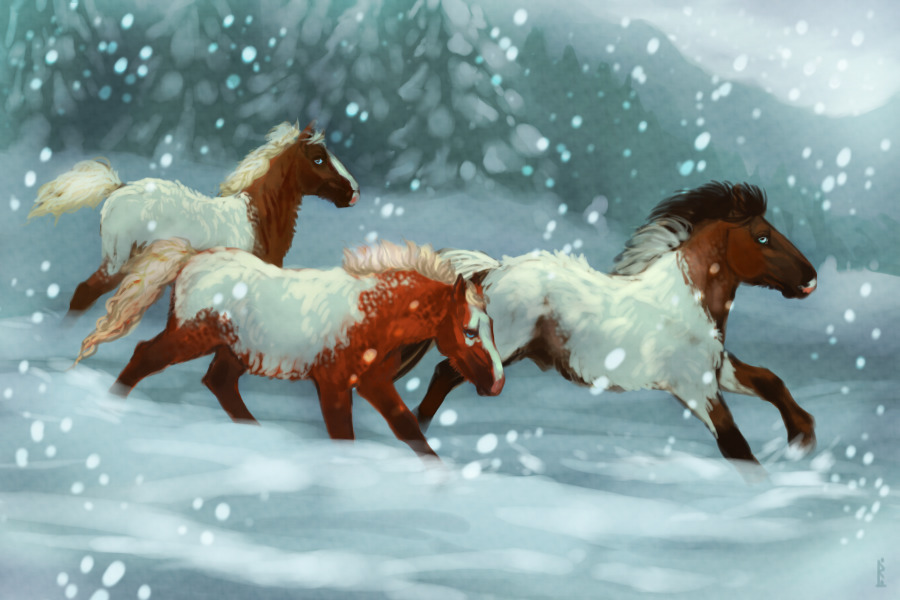 Winter horses