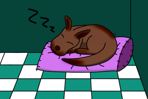 Sleeping dog c: