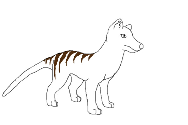 Thylacine Lineart