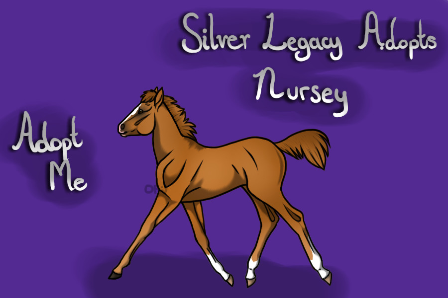 Silver Legacy Horse Association Nursery OPEN