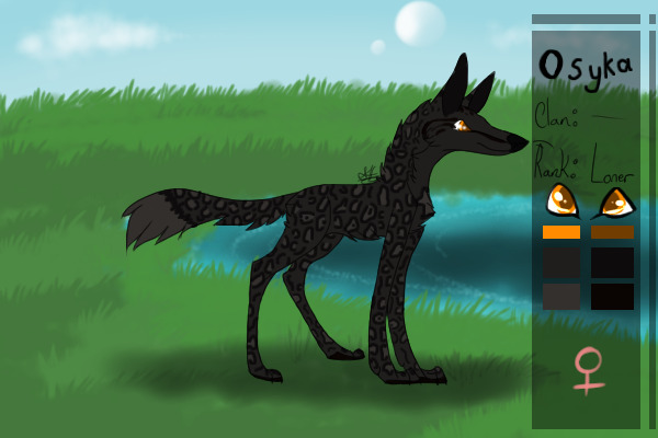 Delta Velorum Fox #38 - Winner