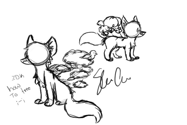 Nature Fox??