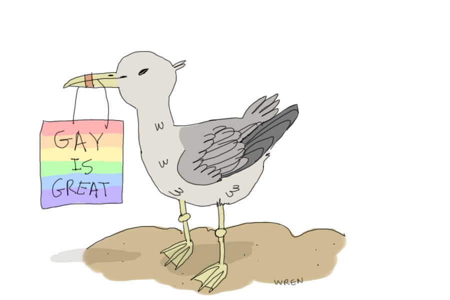 gary the gay gull