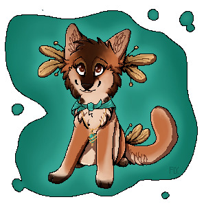 Wren Cutie