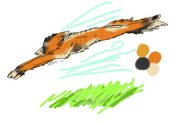 Flying fox