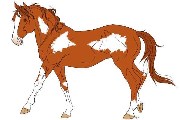 new mare