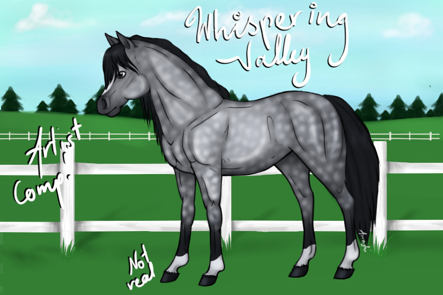 Entry #2: Dapple Grey