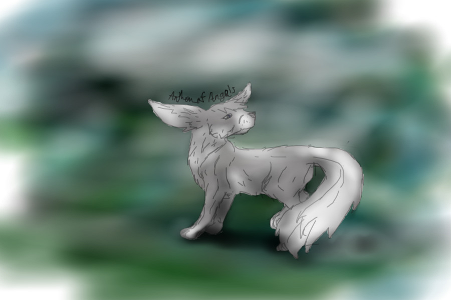 The lone fox