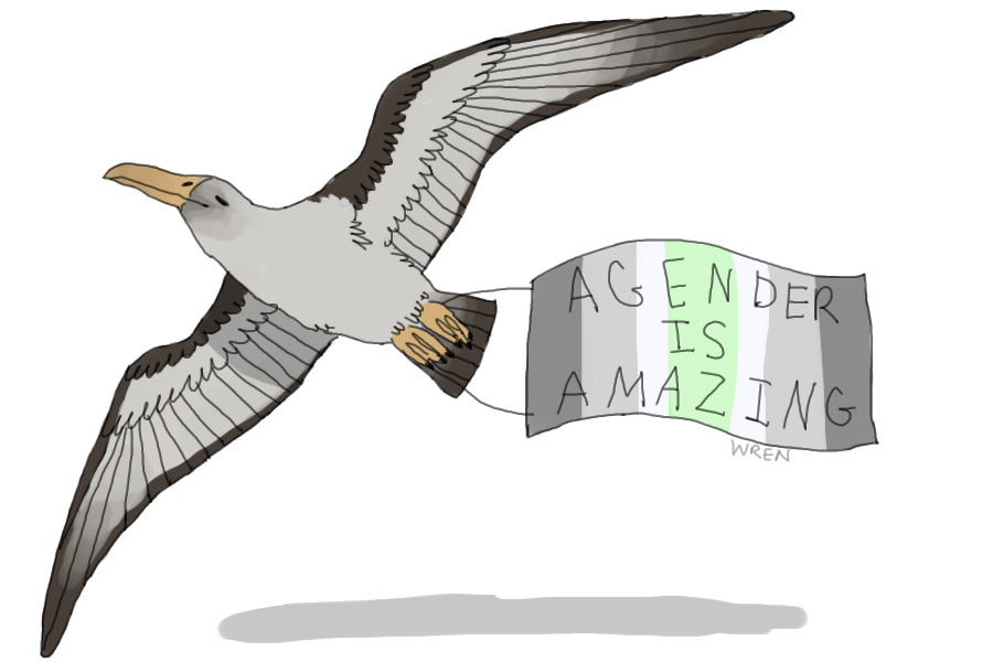 alex the agender albatross