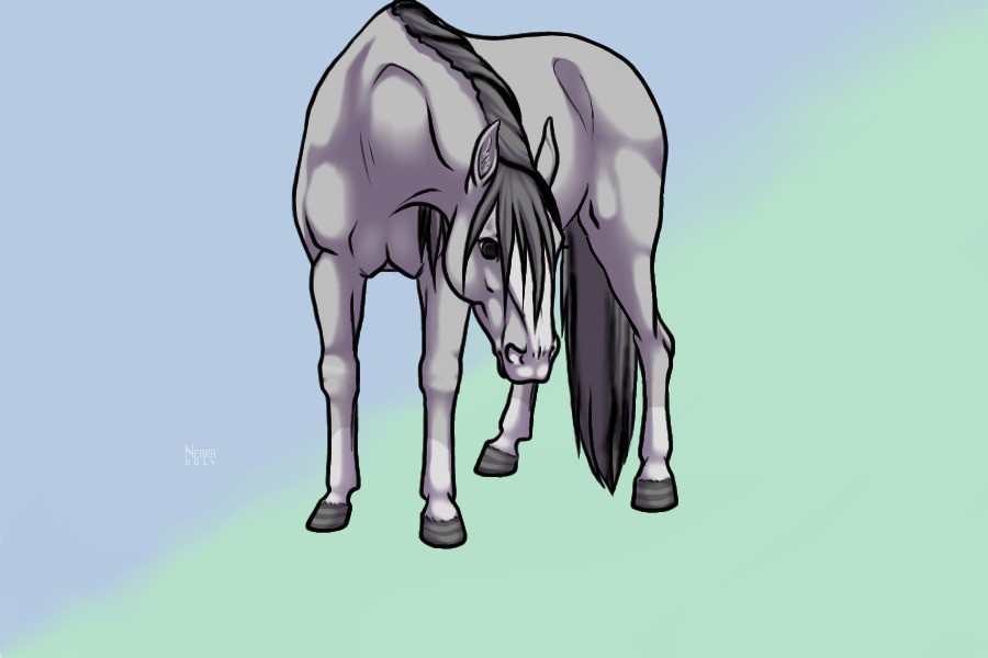 Mid-life, Donder, Stormy grey