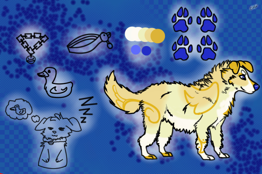 Duck-Loving Border Collie UFA