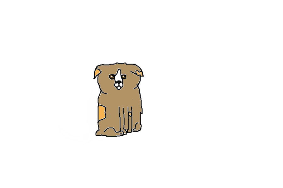 land puppy~ dog shelter  boxer