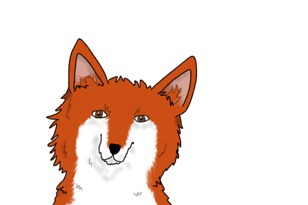 Quick Fox/Shiba