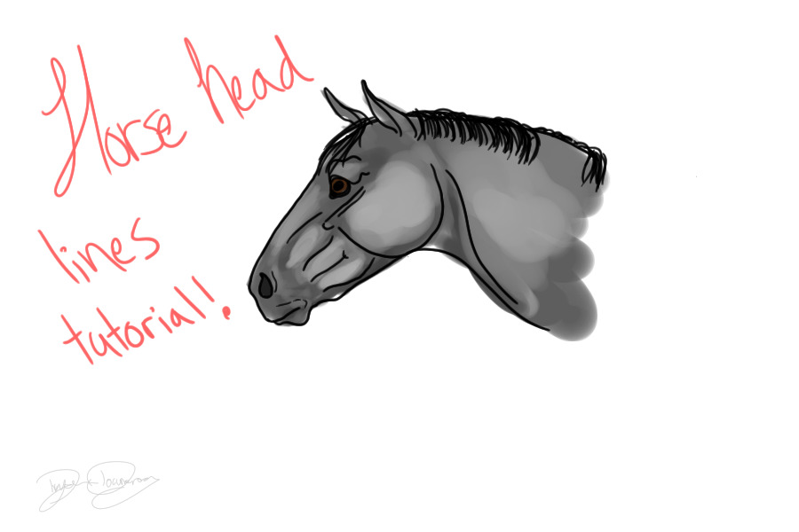 Horse head lining tutorial