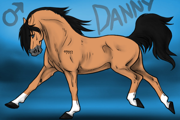 Danny Horse