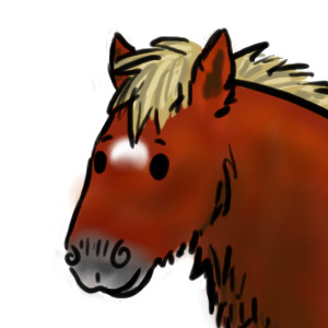 My horse