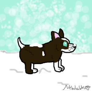 Editable Snow Puppy!