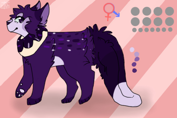 doughnuter #226: closed