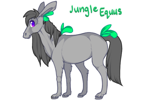 Jungle Equus Adopts