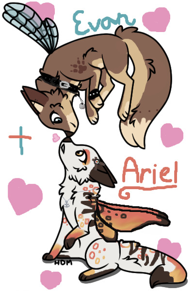 Ariel + Evan <3