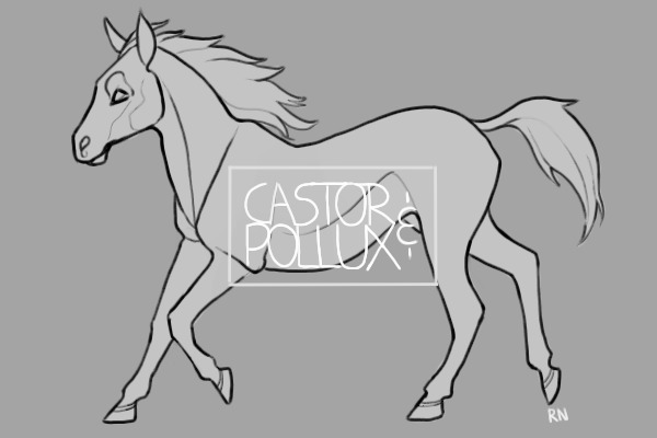 CASTOR & POLLUX STABLES | open