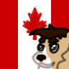 Canadian Dog