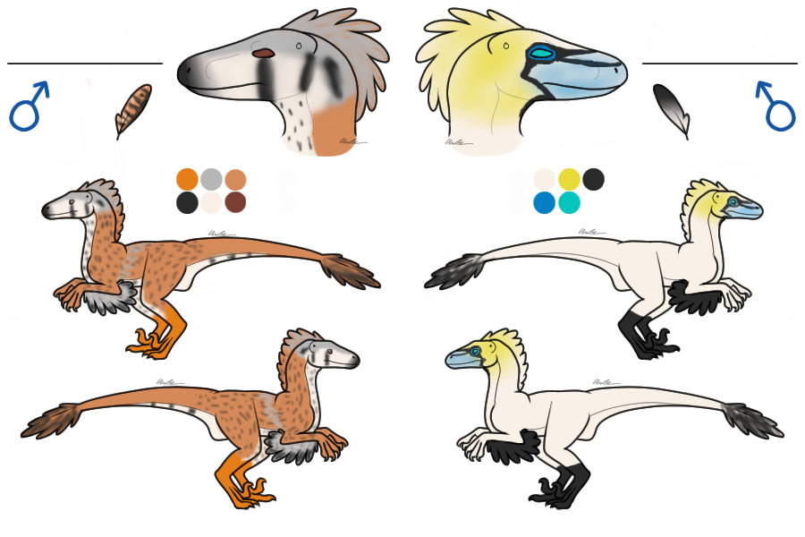 Bird-Themed Raptors