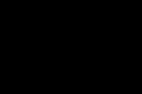 Slendy