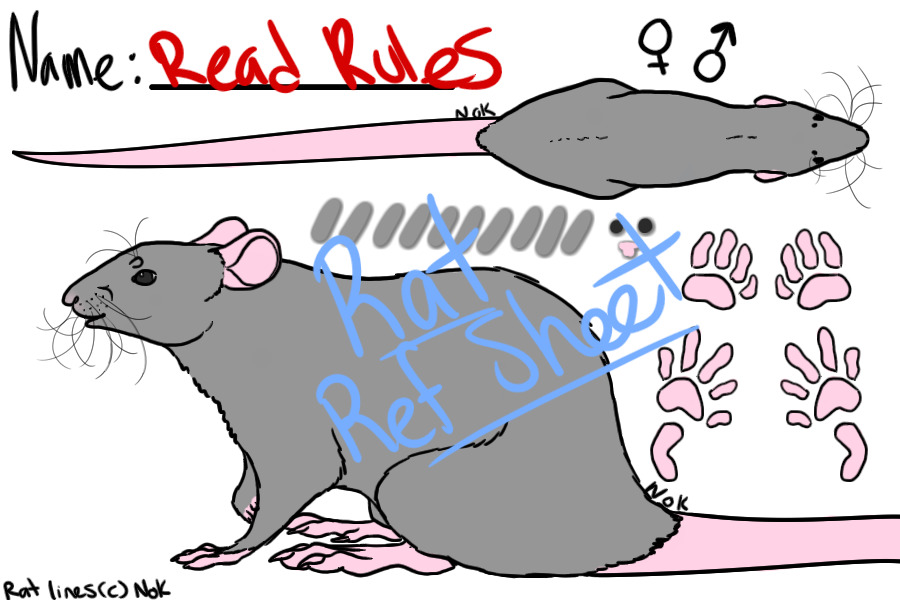 Rat Reference Sheet