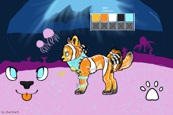 Buziba's Ref + Accessories